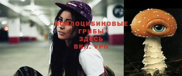 ALPHA-PVP Арсеньев