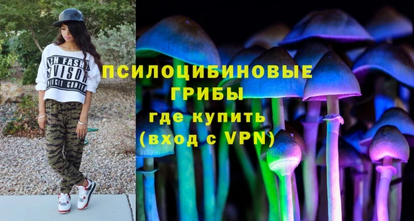 спиды Аркадак