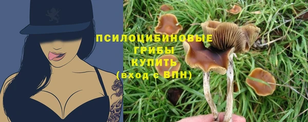 ALPHA-PVP Арсеньев
