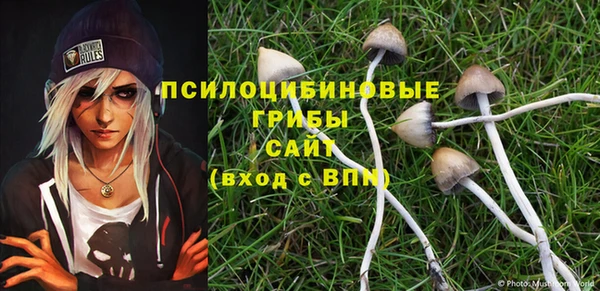 спиды Аркадак
